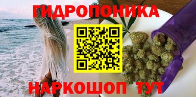 гидропоника Ачхой-Мартан