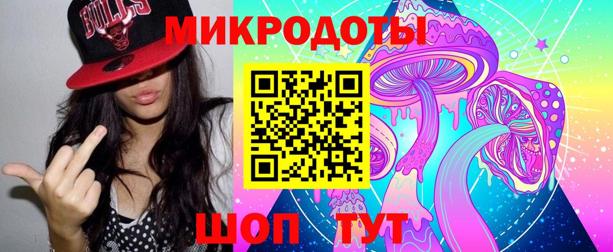 Губкин  Псилоцибиновые грибы Psilocybine cubensis  Вход с VPN 