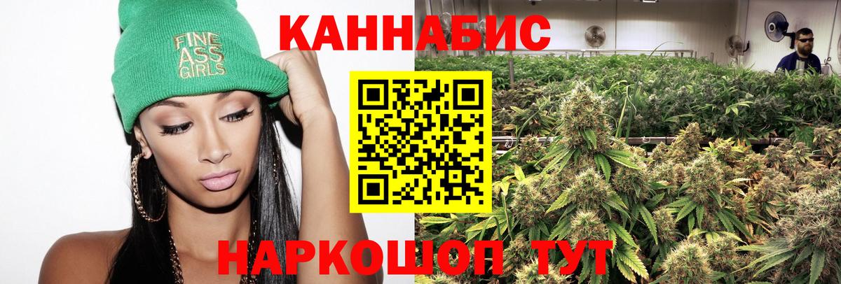 Канабис SATIVA & INDICA Губкин